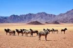 ERLEBNIS NAMIBIA 